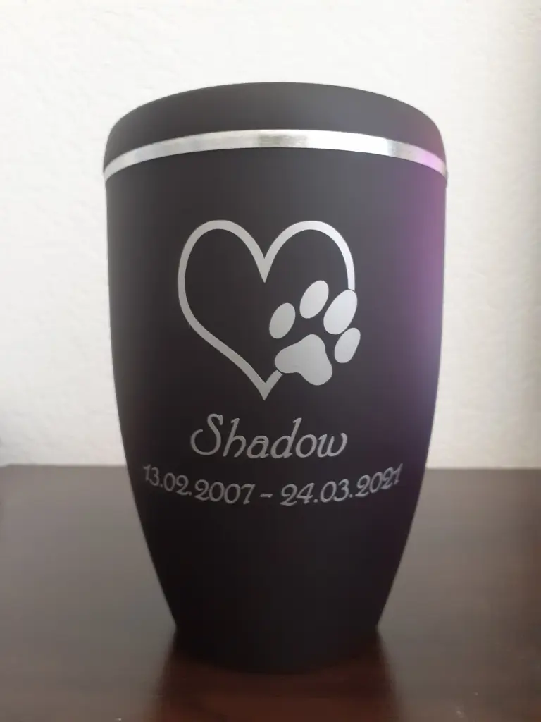Image from Shadow