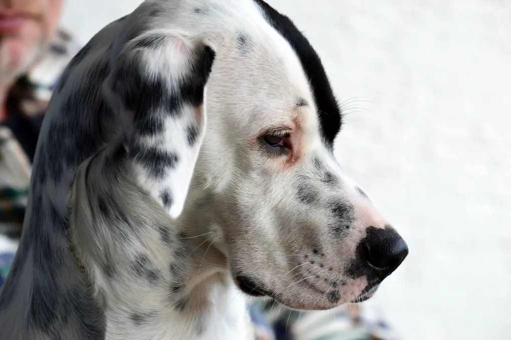 Bild von Zeus