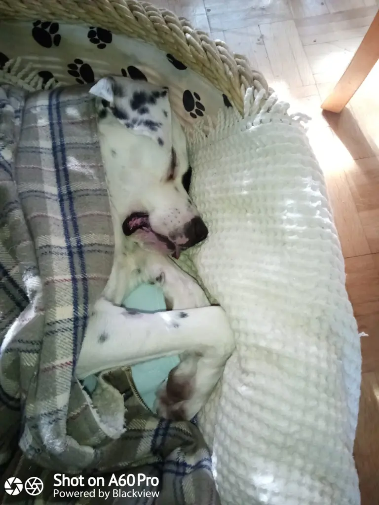 Bild von Zeus