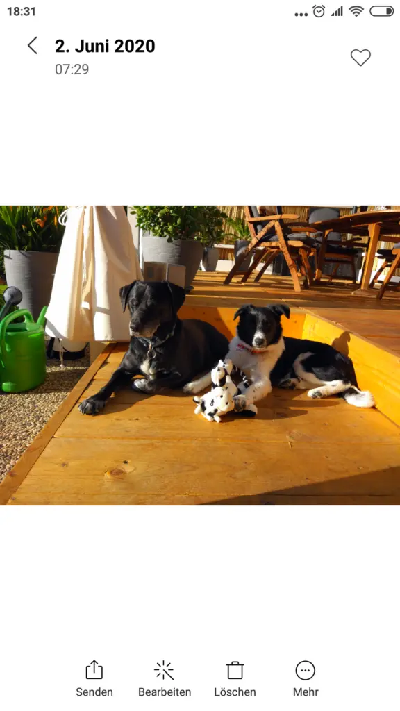 Condolence image of Anja & Rene mit Sneaker