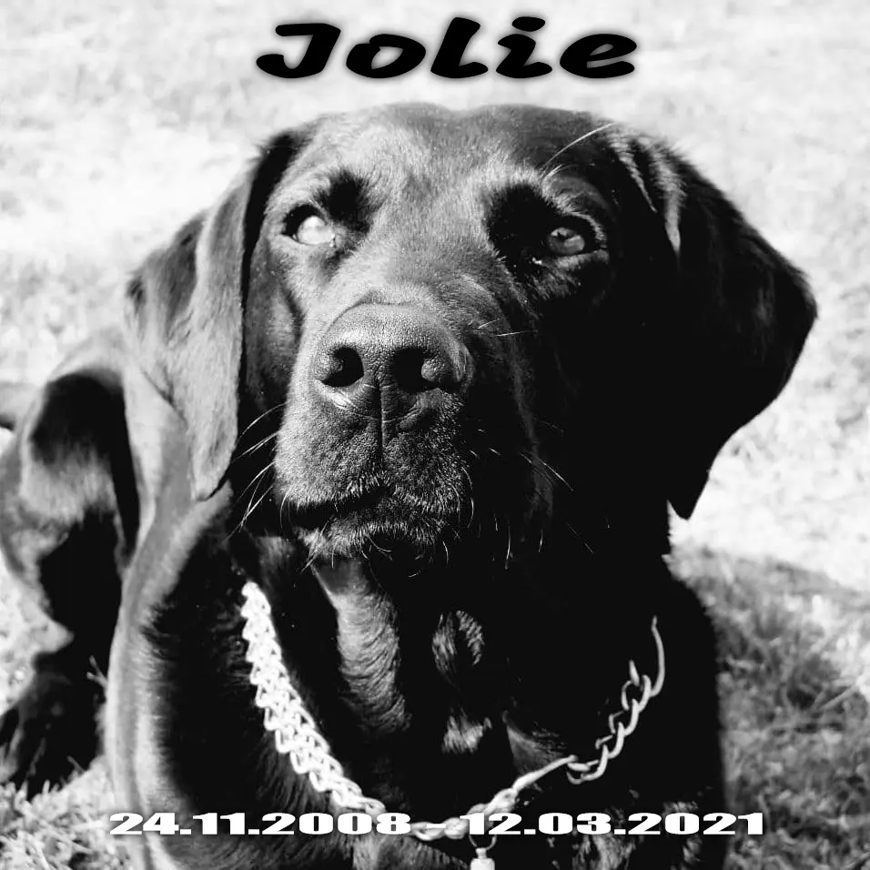 Image from Jolie
