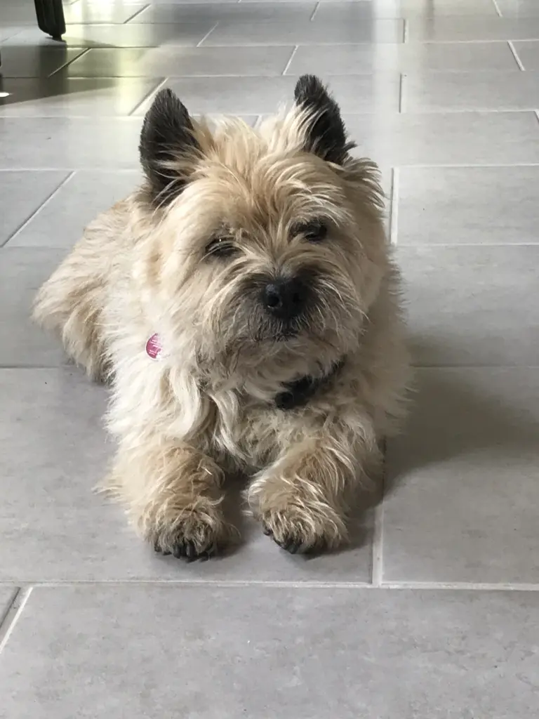 Condolence image of Claudia