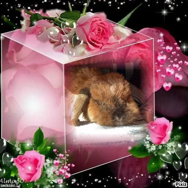 Andachtsbild von Sternchenpost ⭐