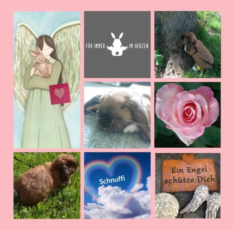Andachtsbild von Gedenkrosen für Schnuffi