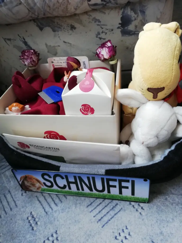 Bild von Schnuffi