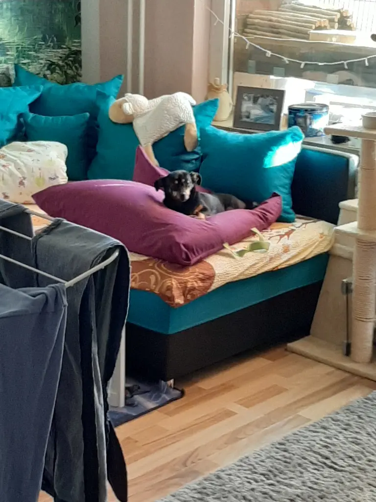 Image from Mini