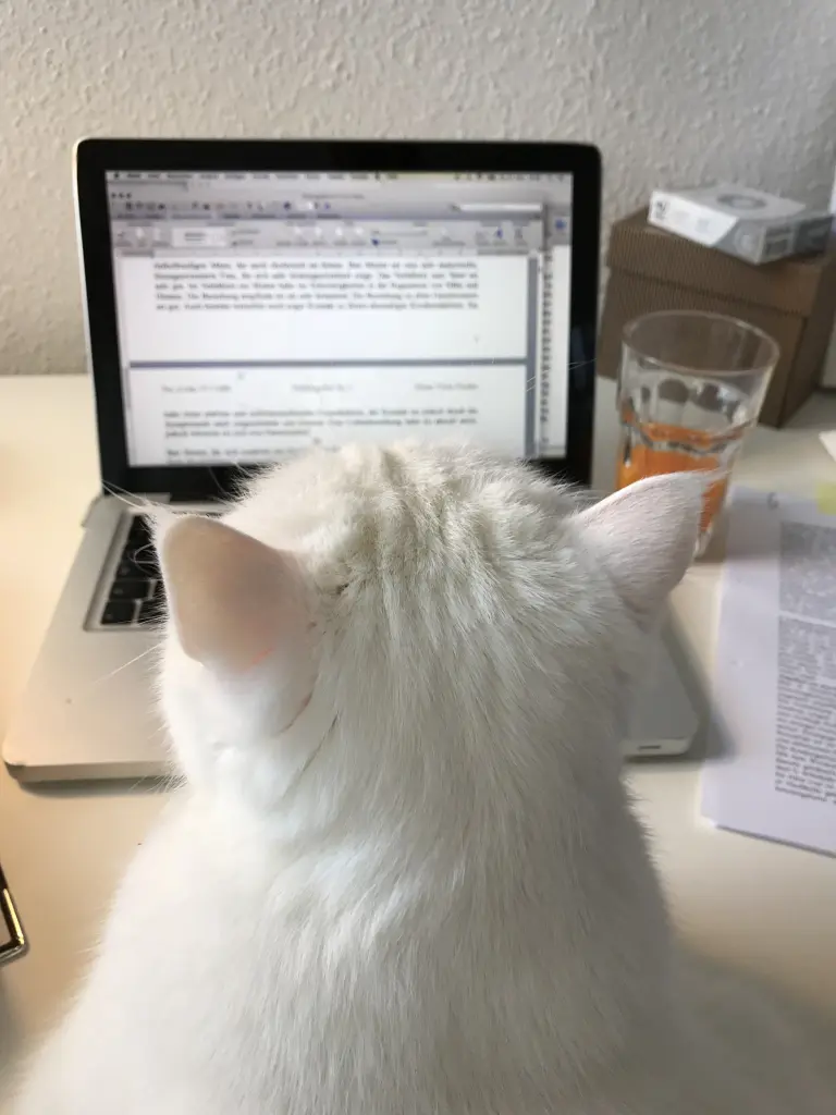 Image from Monty
