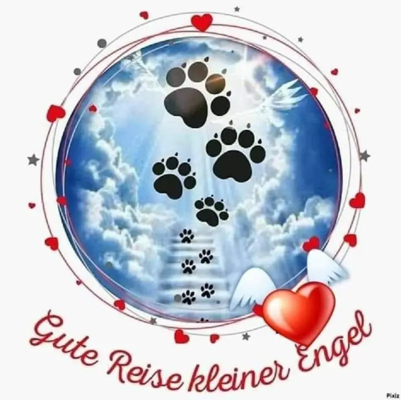Condolence image of Eva mit Paco