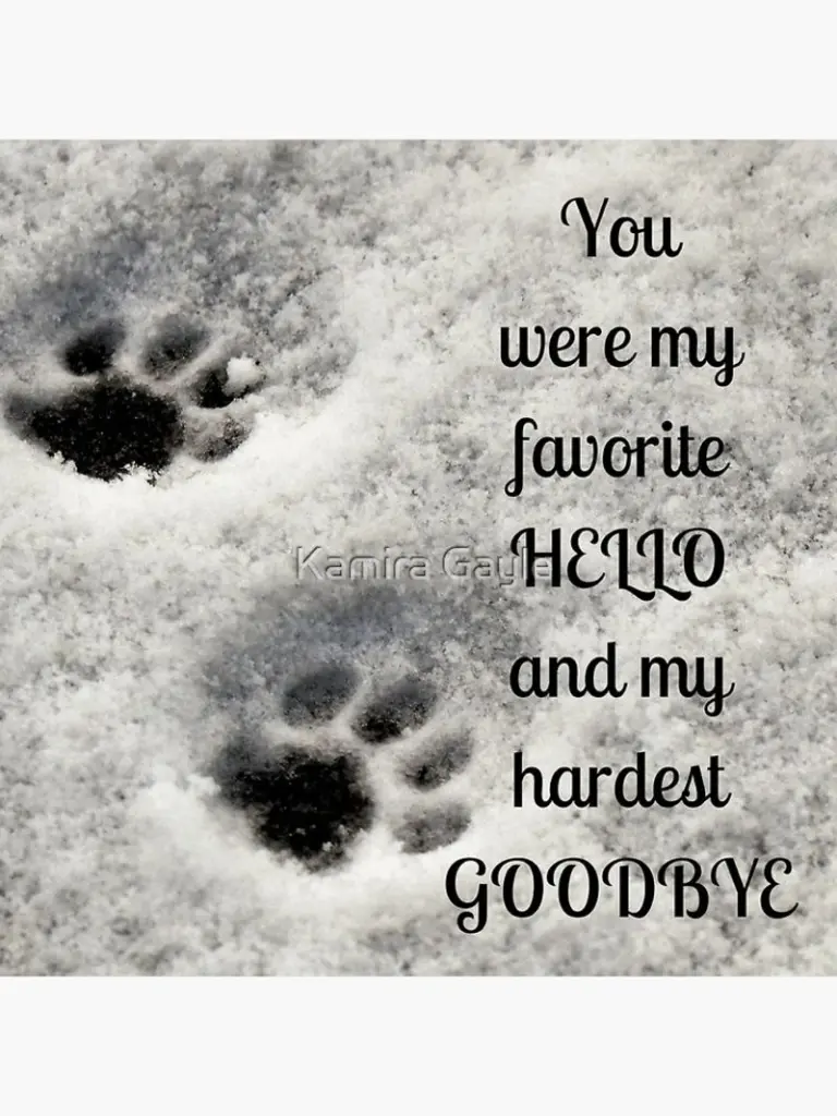 Condolence image of Andrea mit Max im Herzen