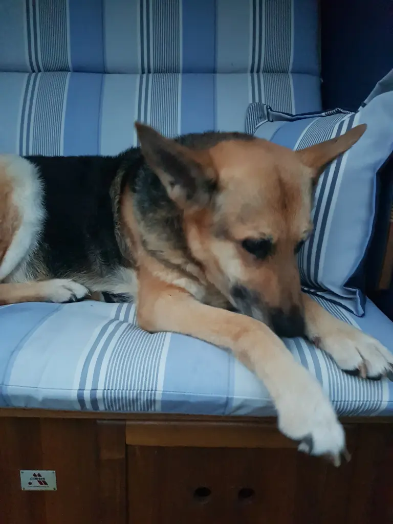Condolence image of Helga