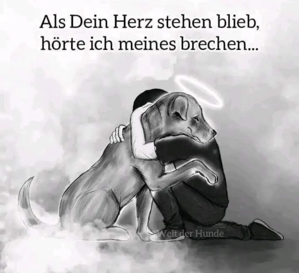 Condolence image of Tante und Frauchen von Finja