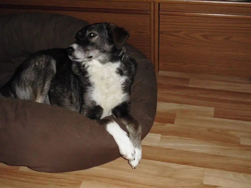 Condolence image of Birgit