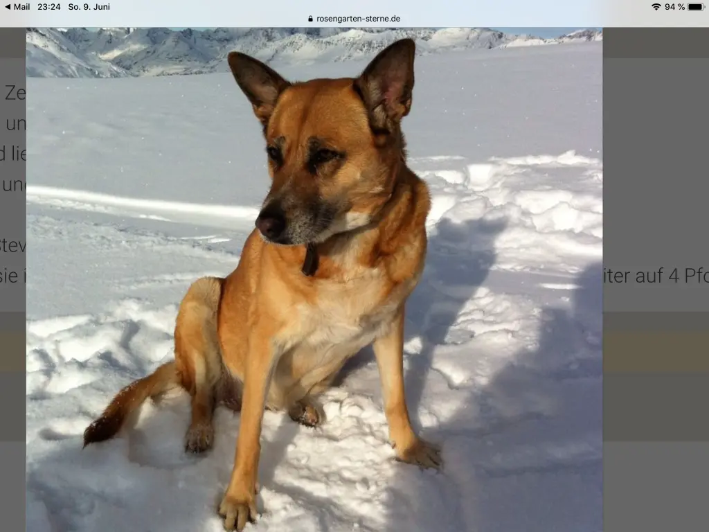 Condolence image of Heike