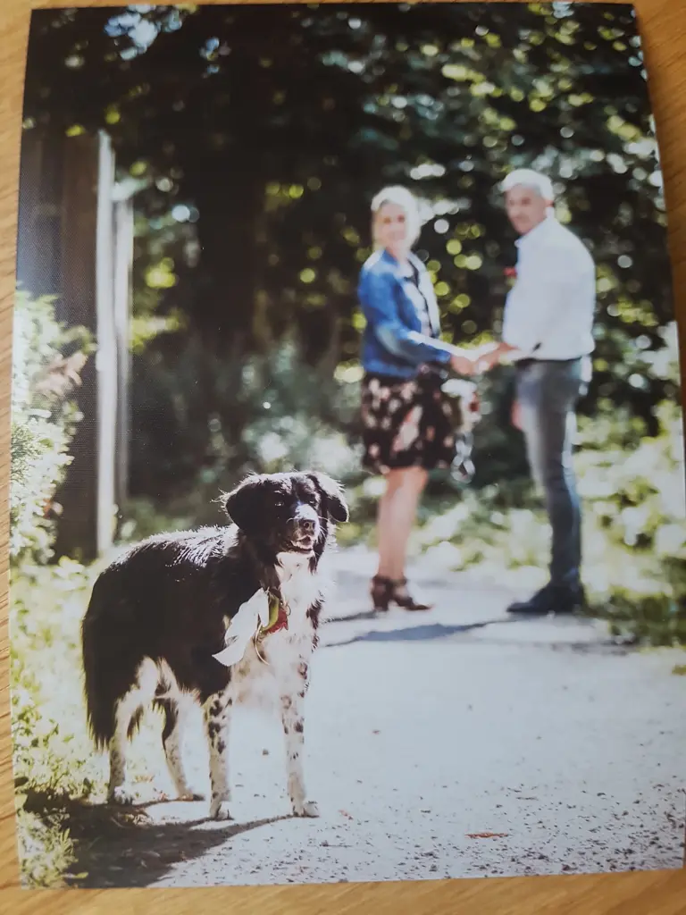 Bild von Lucy