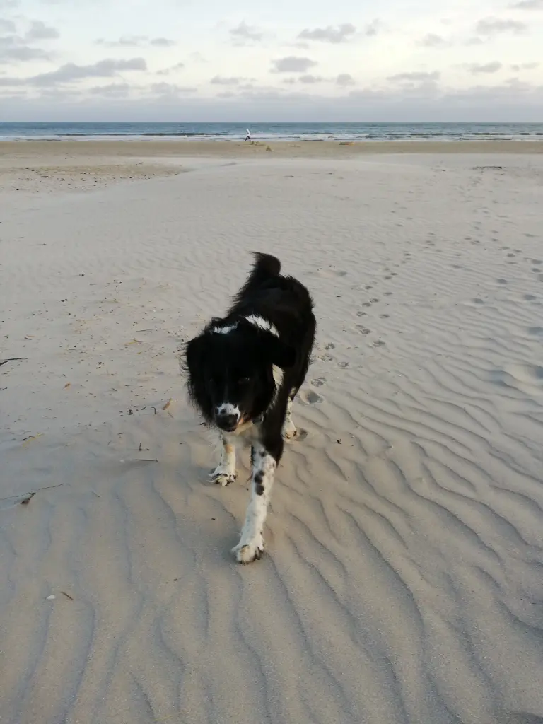 Bild von Lucy