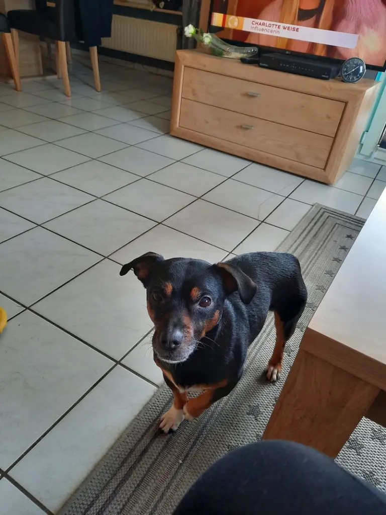 Condolence image of Freddy