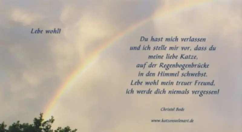 Condolence image of Katrin und Katzi im ❤️