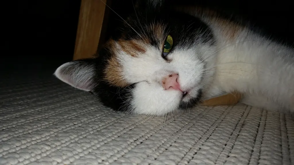 Image from Luna