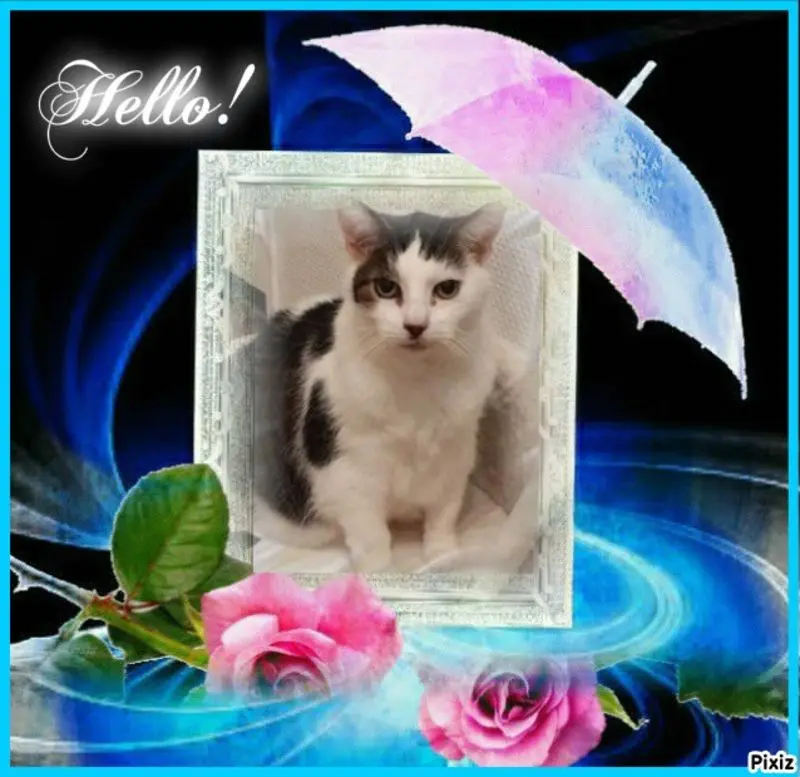 Condolence image of Sternchenpost ⭐