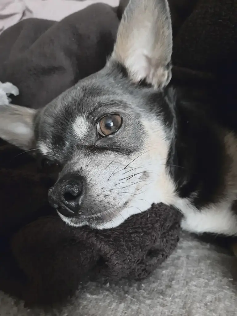 Condolence image of Unbekannt