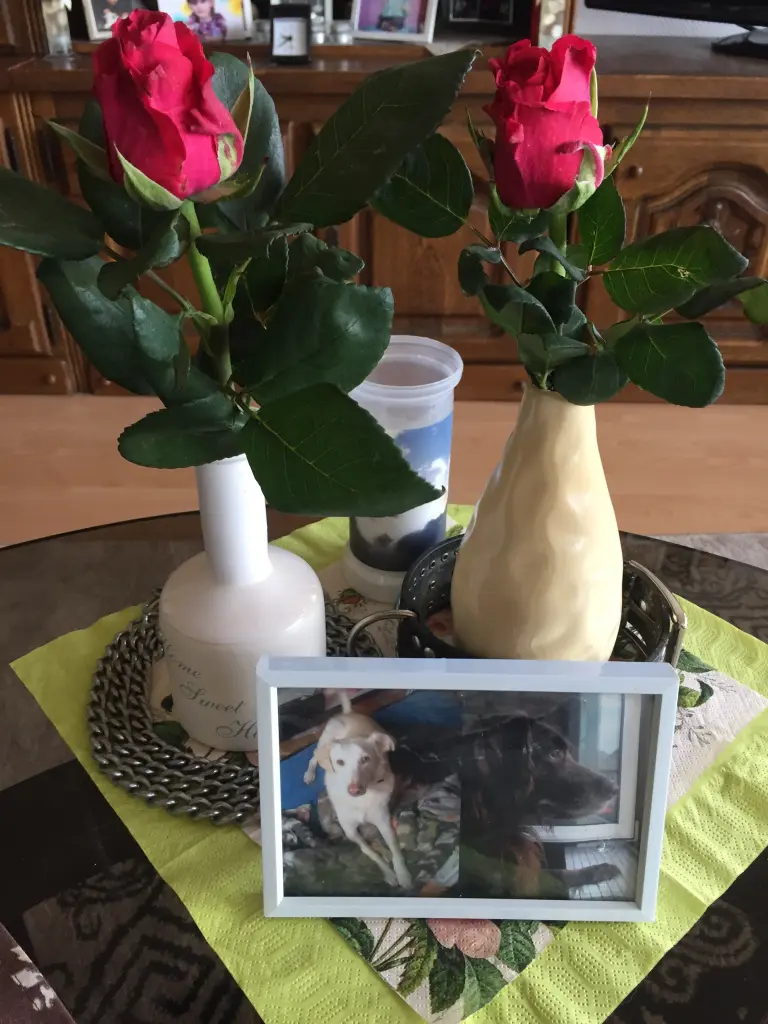 Condolence image of Josefine Josefine