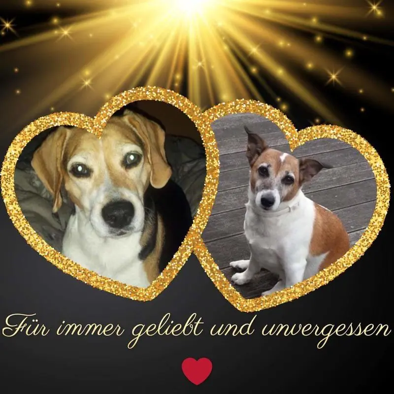 Andachtsbild von Sabine mit Luna & Milo tief im Herzen