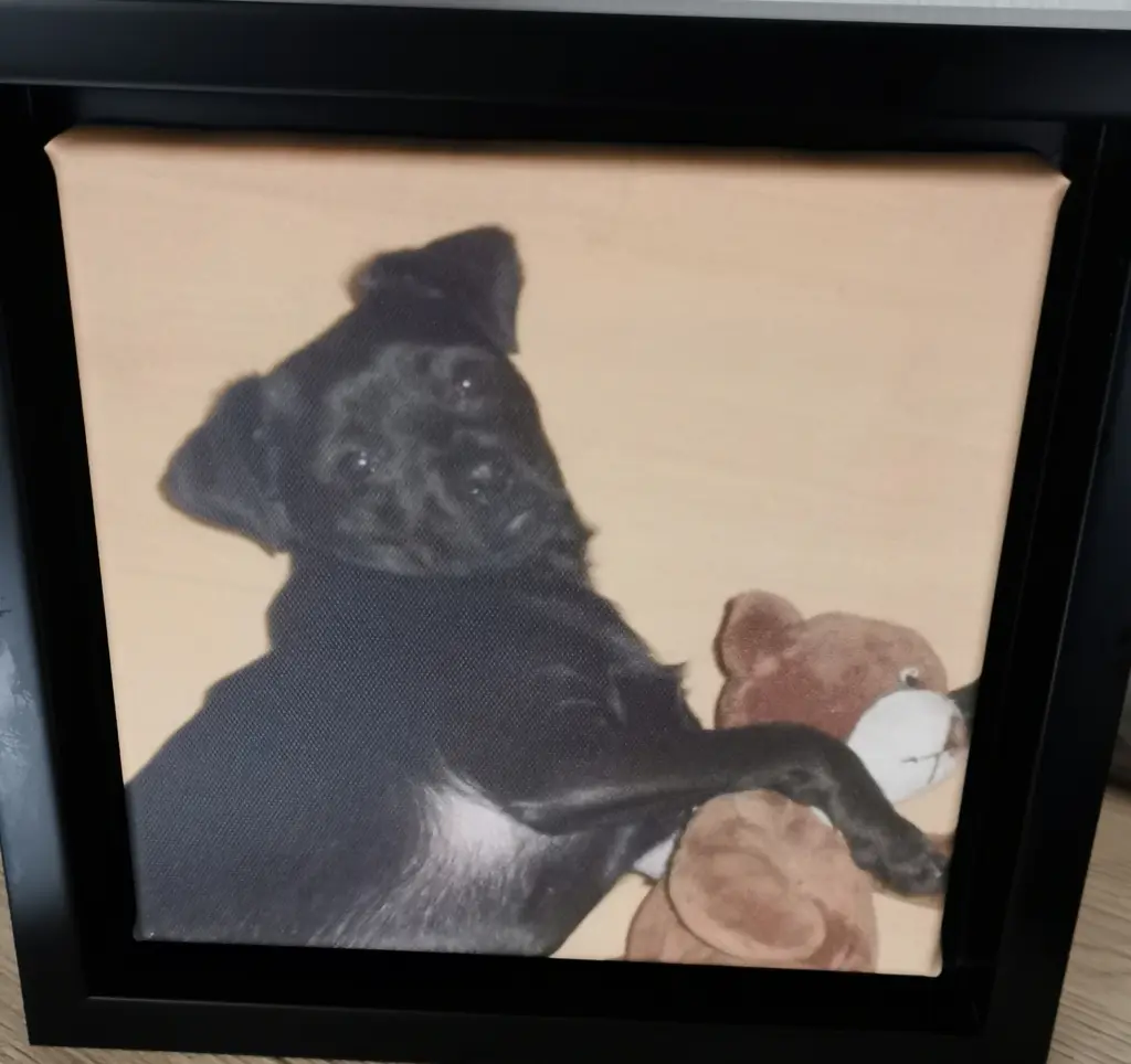 Bild von Lenny