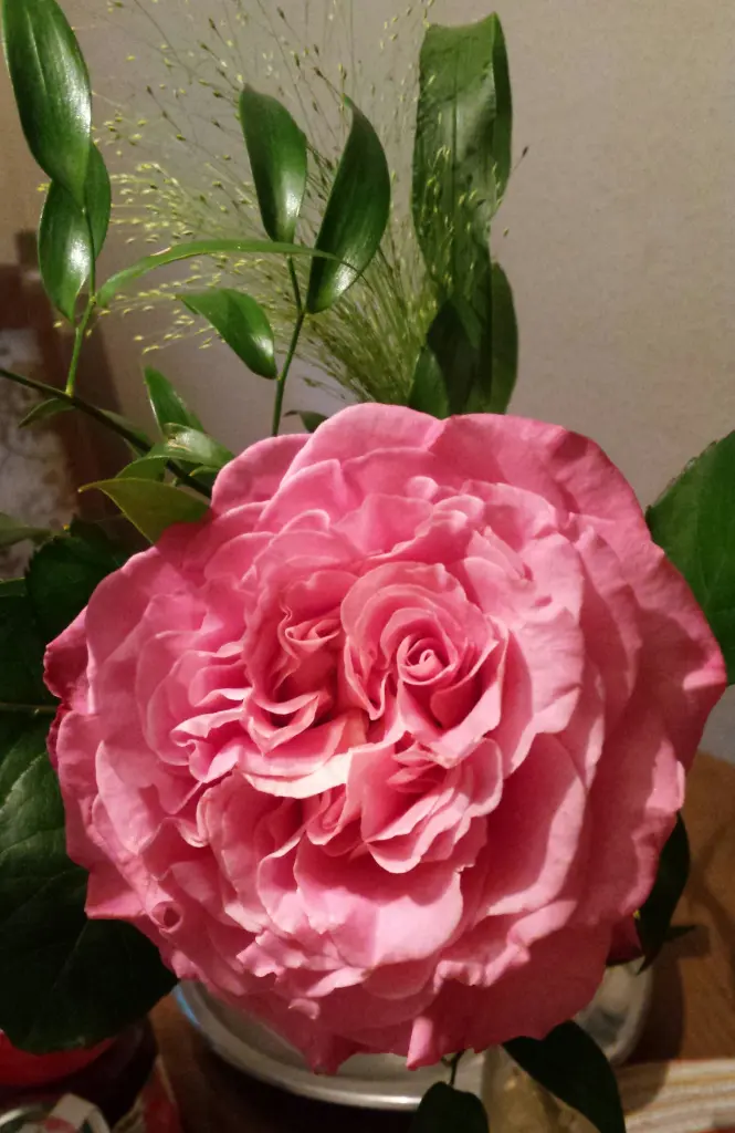 Condolence image of Bettina