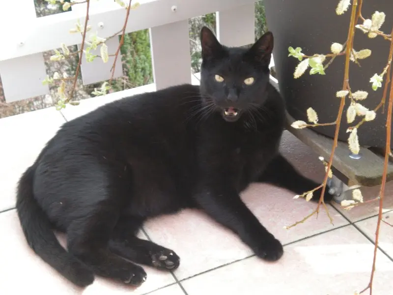 Condolence image of Damaris