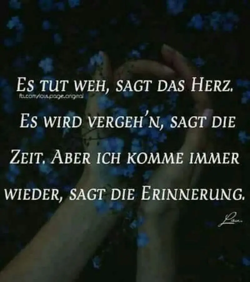 Condolence image of Gabi mit Max (gest. 20.11.2020)
