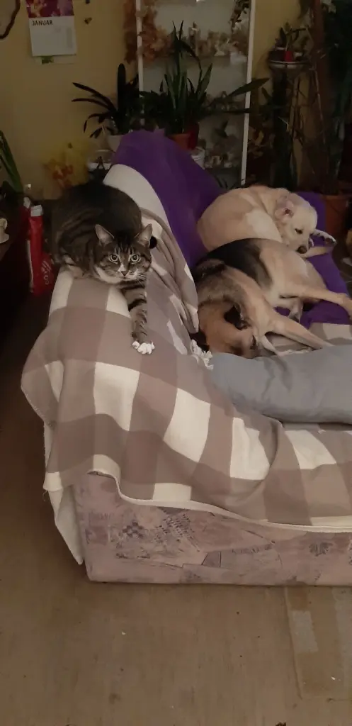 Condolence image of Antje Basile