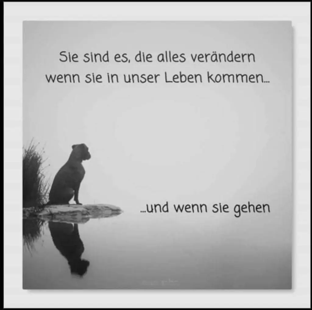 Condolence image of Antje  Basile