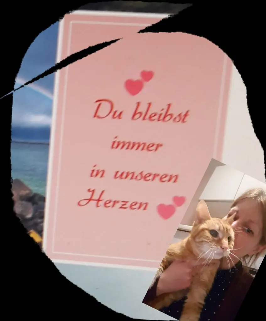 Image from Bine