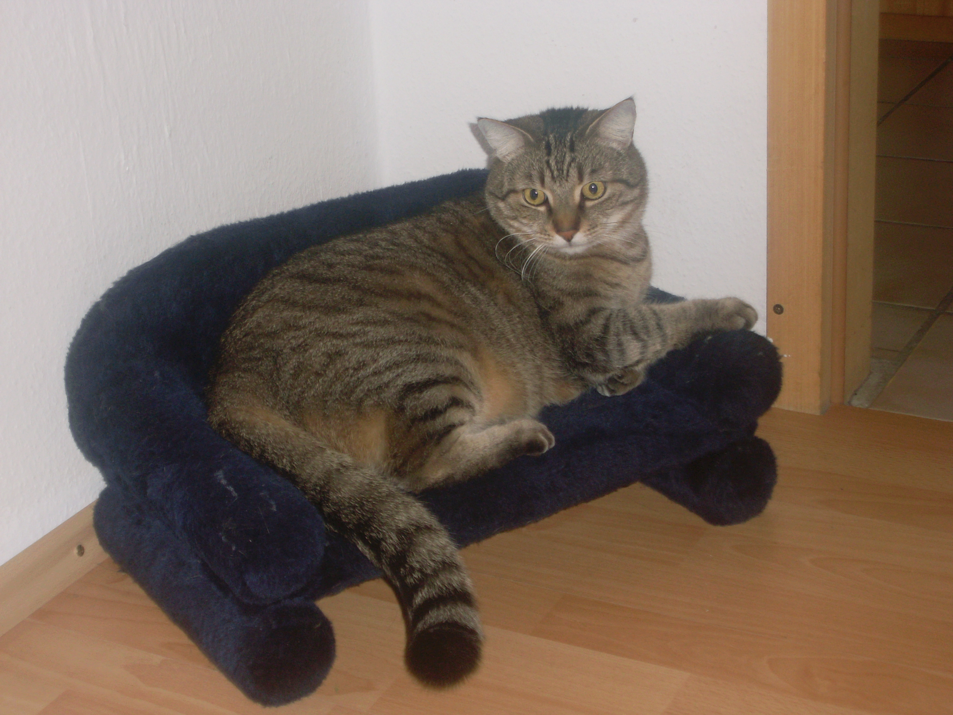 2008 - Deine eigene Couch