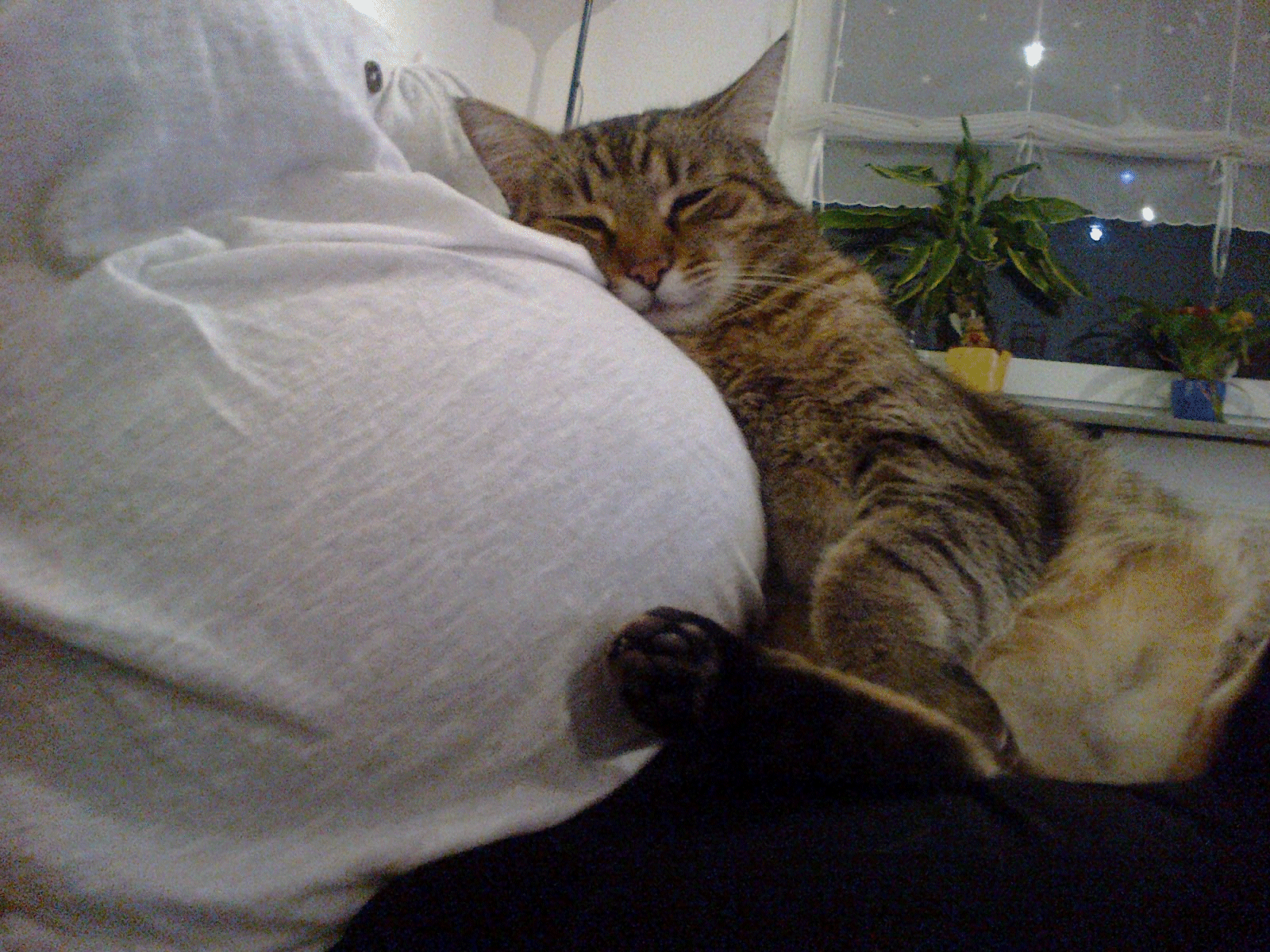 2011 - selbst mit Babybauch hast du gekuschelt.