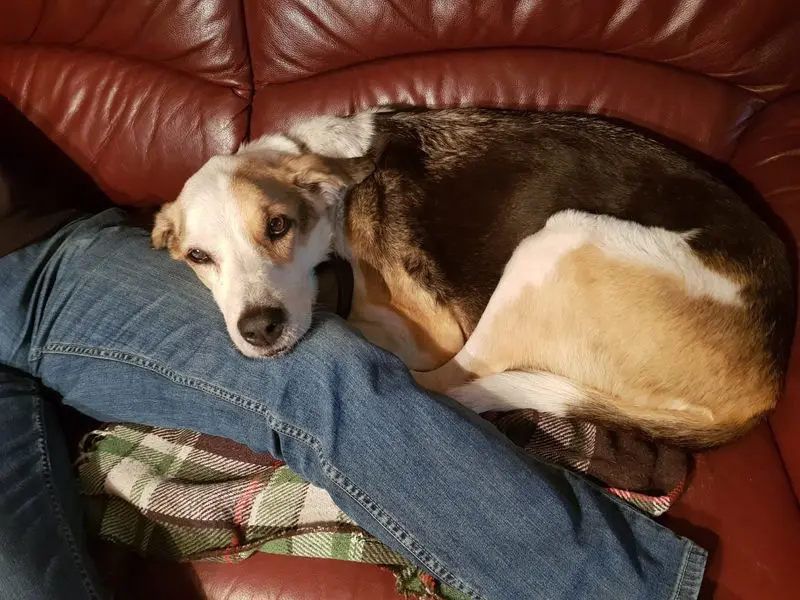 Condolence image of Michaela