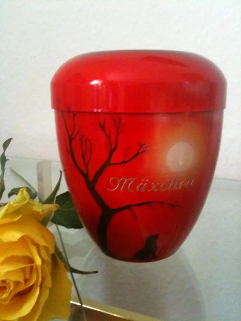 Image from Mäxchen
