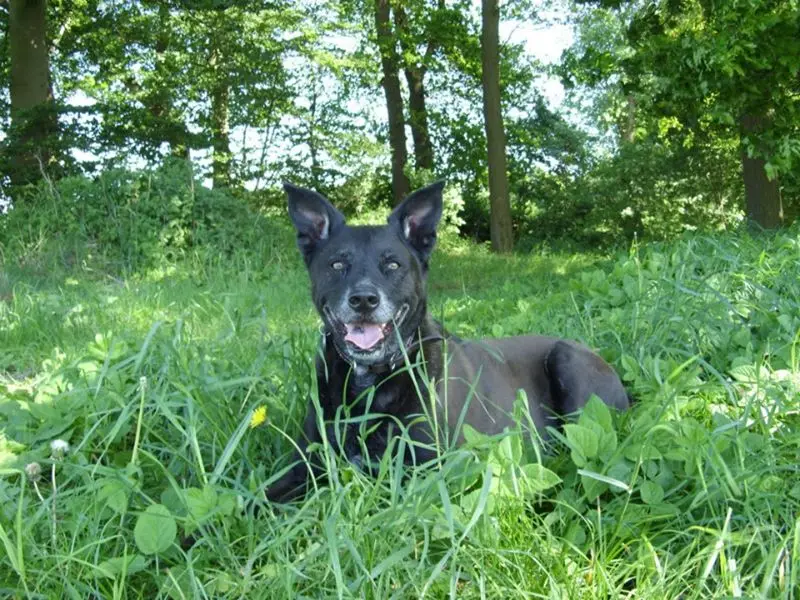 Andachtsbild von Patrick 