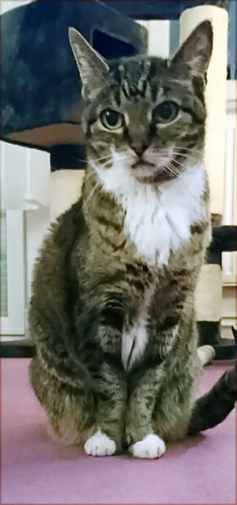 Condolence image of Ingrid
