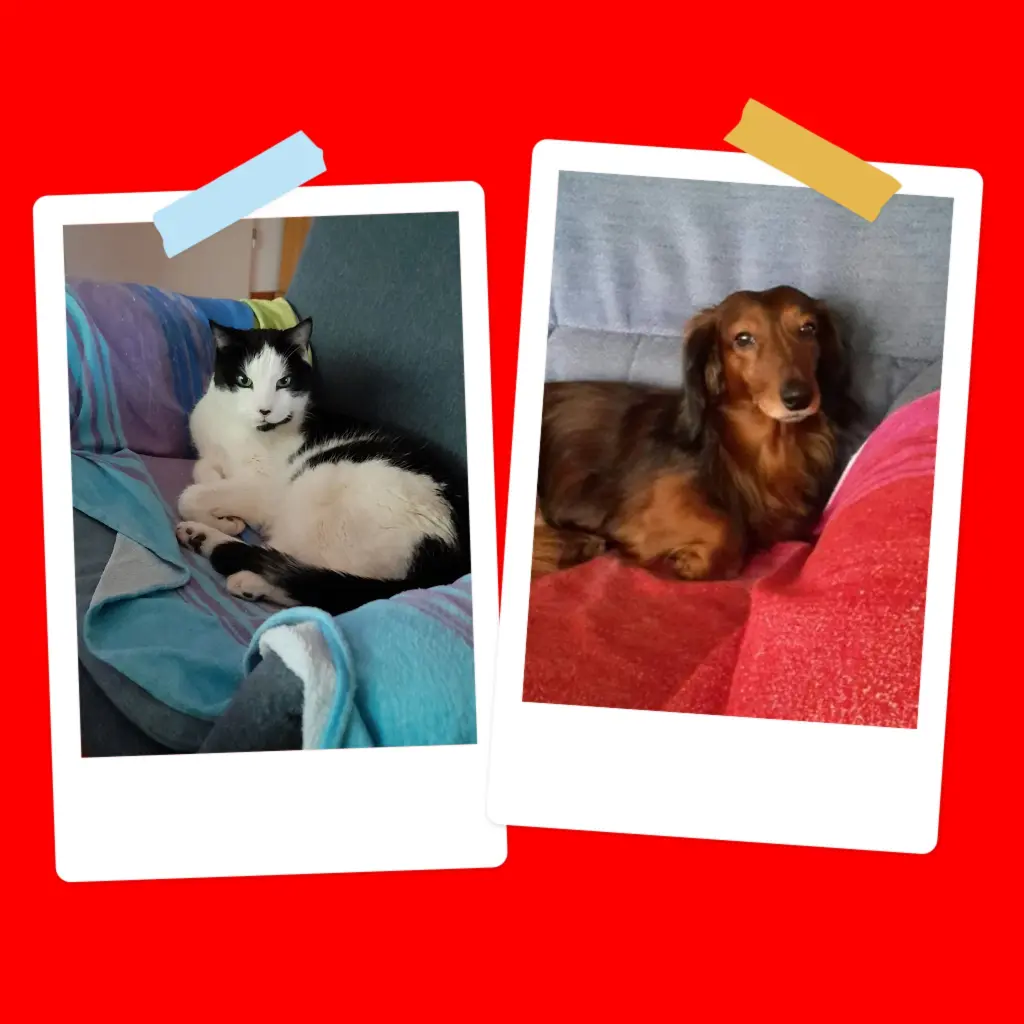 Condolence image of Iris mit Tommi gest. 14.3.22 & Louis gest. 28.12.20 