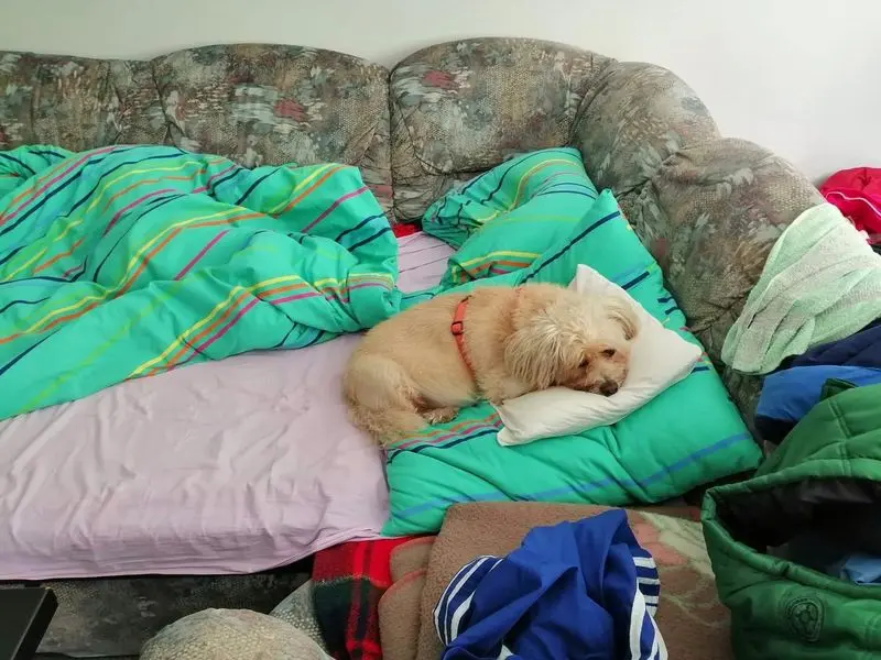 Andachtsbild von Mircea und Yanca