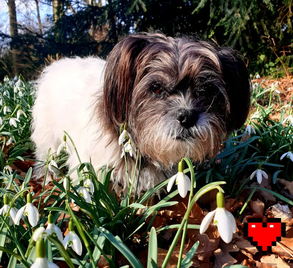 Bild von LUCY