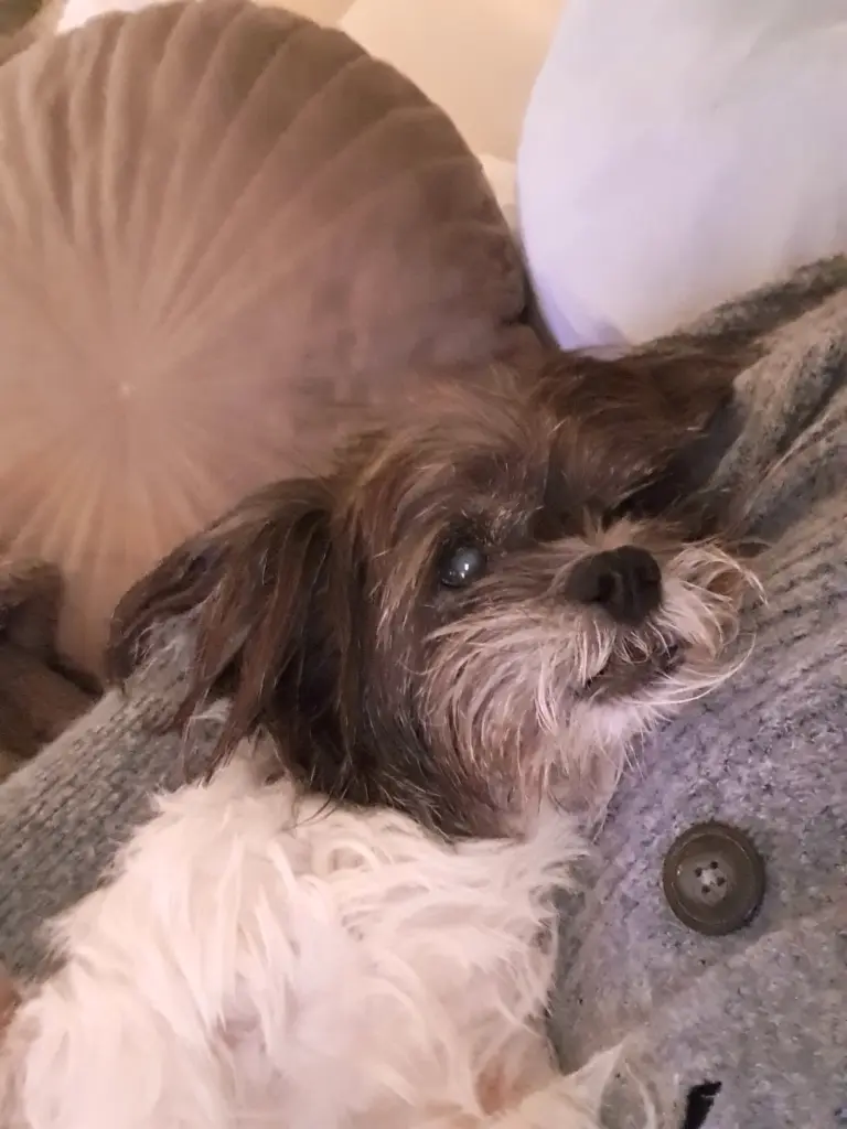 Bild von LUCY