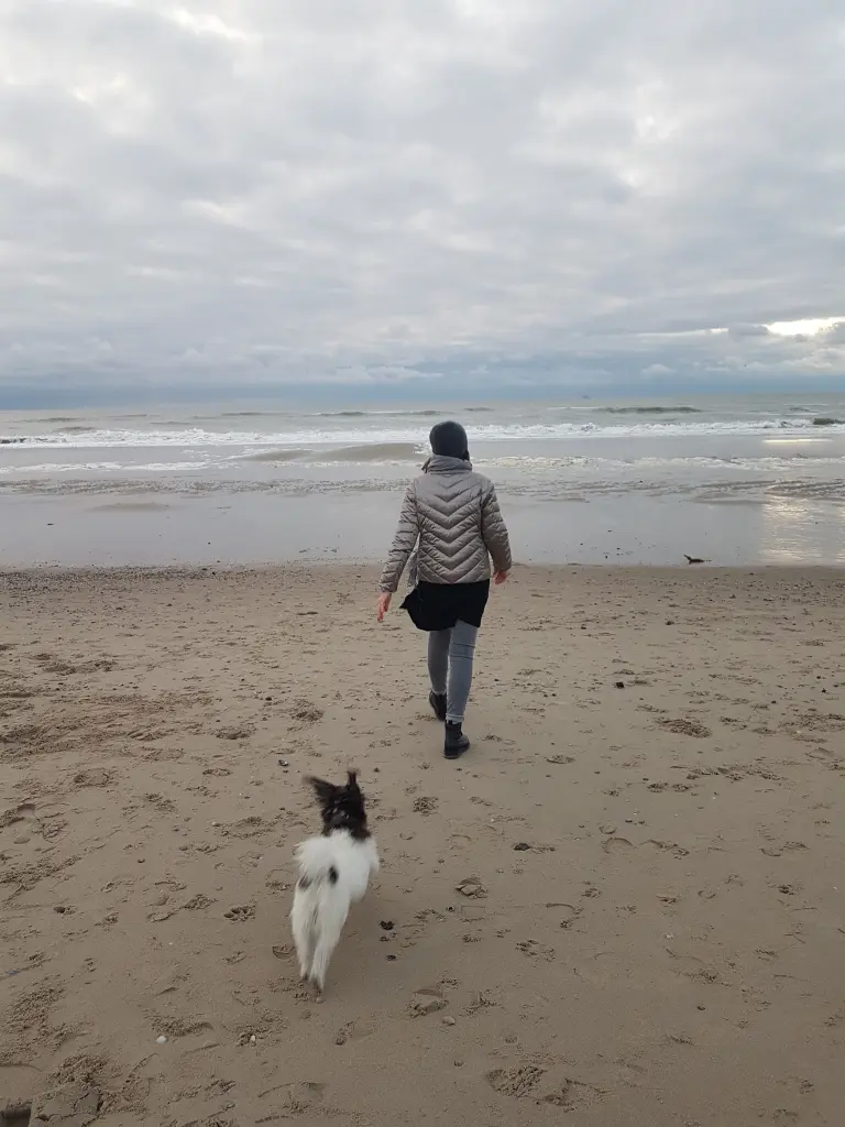 Bild von LUCY