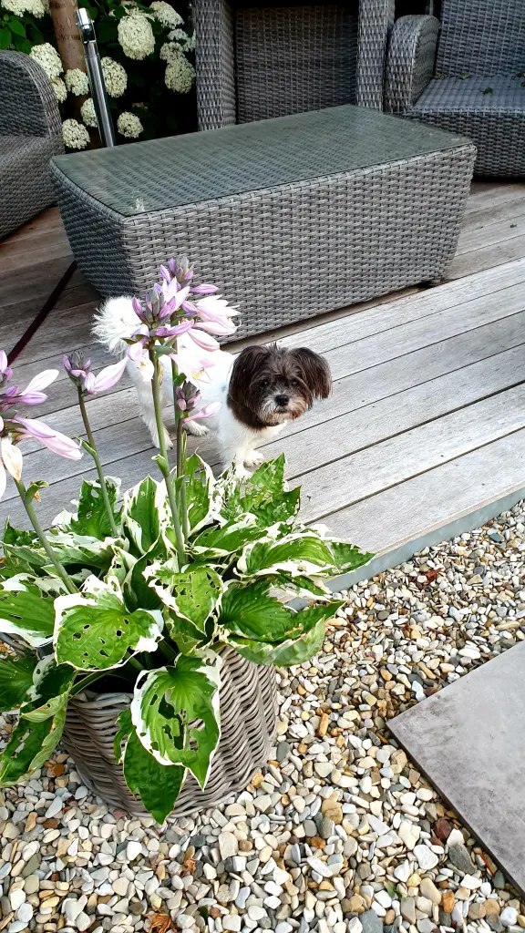 Bild von LUCY
