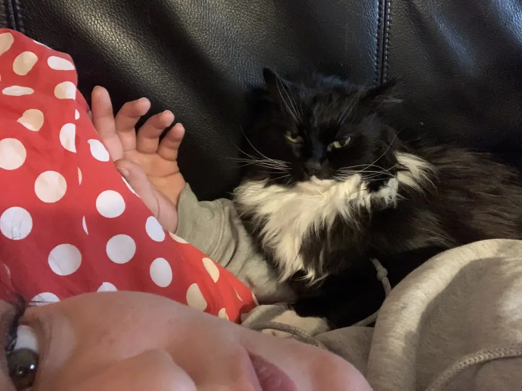 Andachtsbild von Noushin