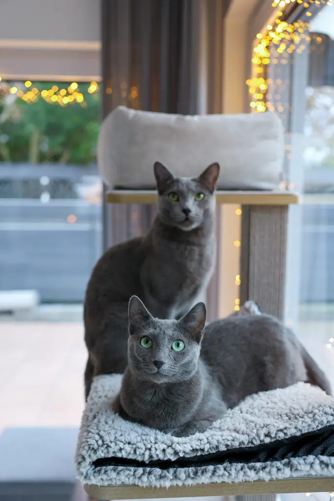 Andachtsbild von Lisa