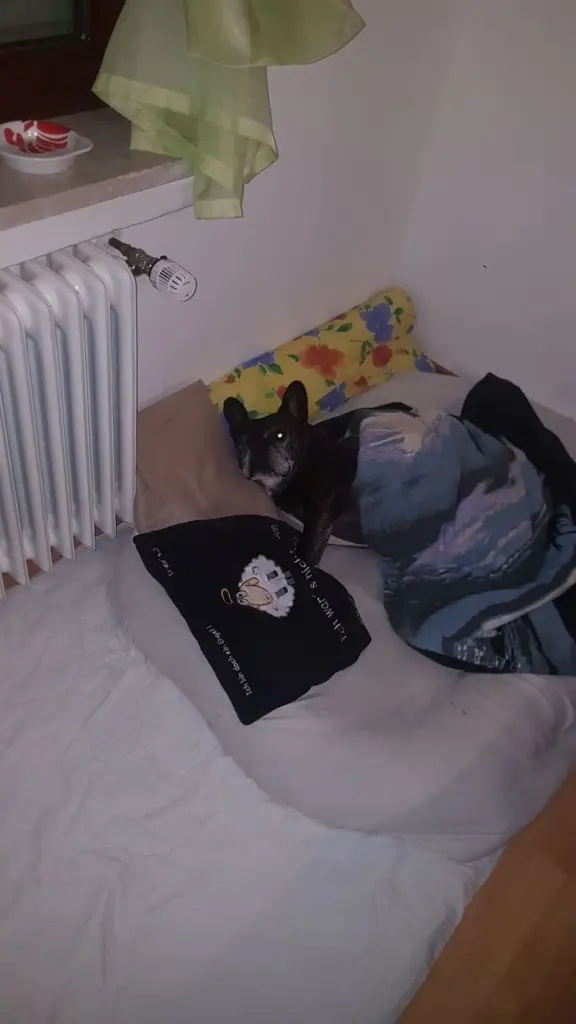 Condolence image of Alois und Gudrun mit Yoda im Herzen 