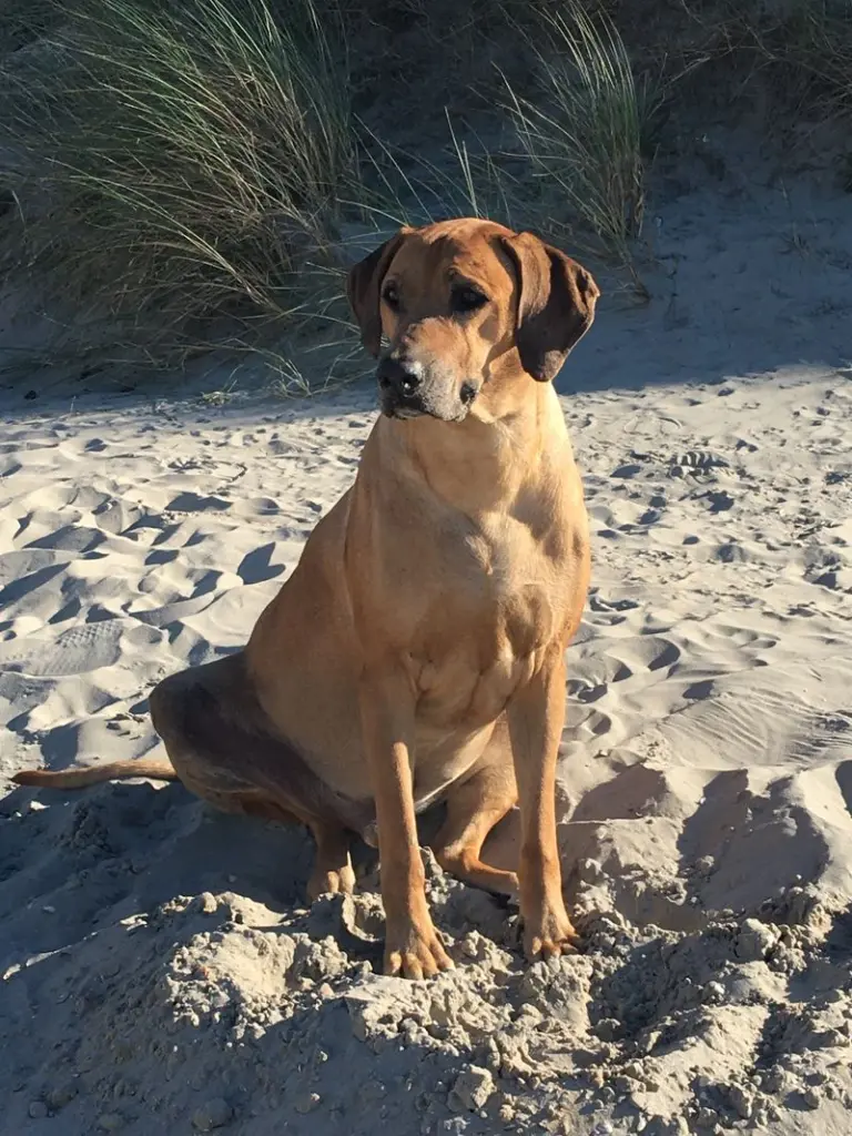 Condolence image of Diego's Familie
