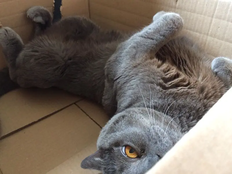 Andachtsbild von Sabrina